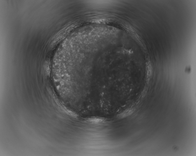 X0000115270313200912111209