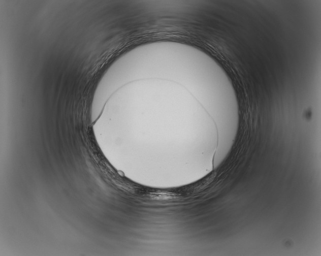 X0000115270316200912111209