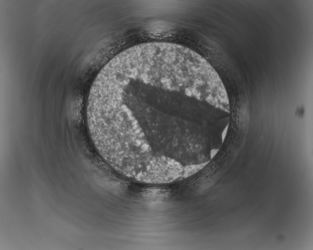 X0000115270319200912111209