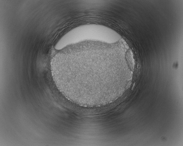 X0000115270320200912111209