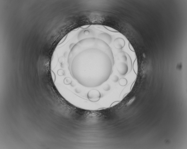 X0000115270321200912111209