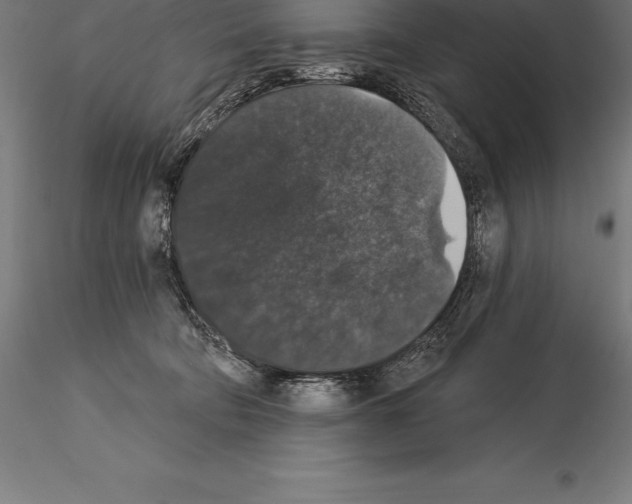 X0000115270322200912111209