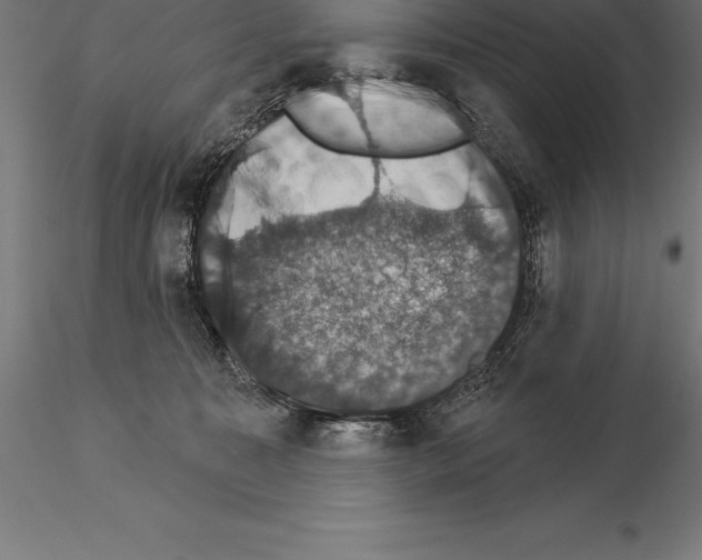 X0000115270323200912111209