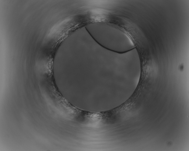 X0000115270325200912111209