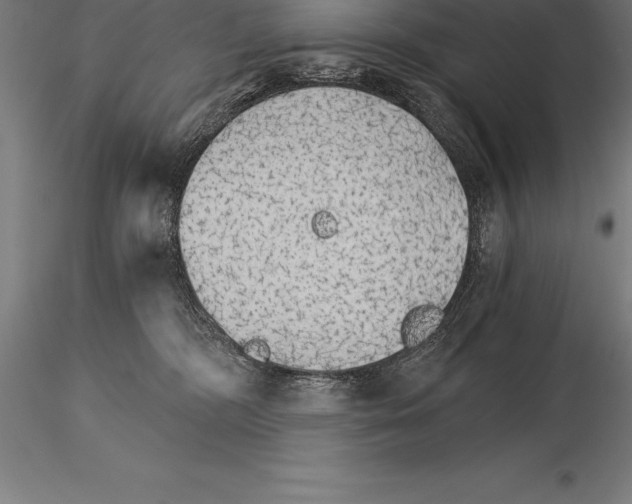 X0000115270326200912111209