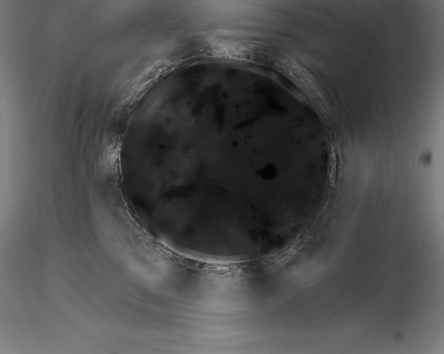 X0000115270329200912111209