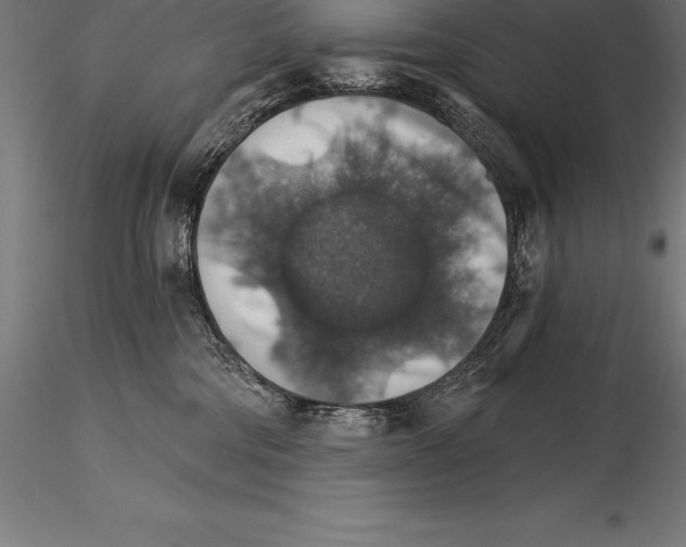 X0000115270330200912111209