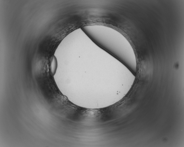 X0000115270333200912111209