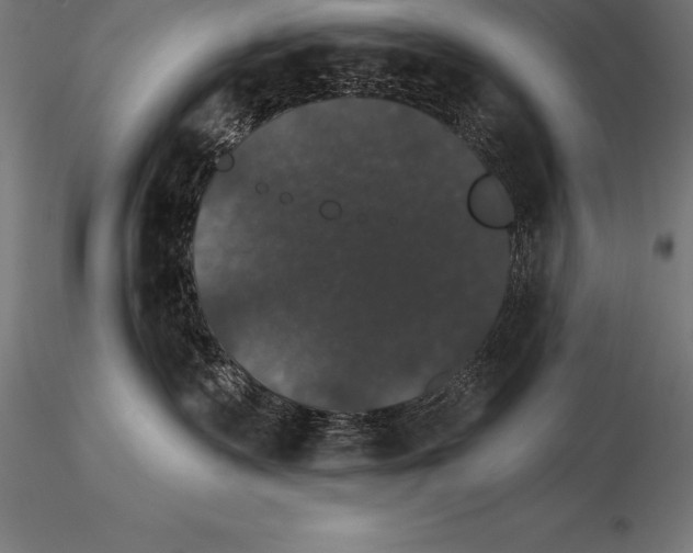 X0000115270335200912111209