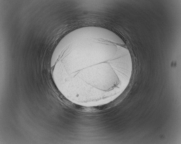 X0000115270336200912111209