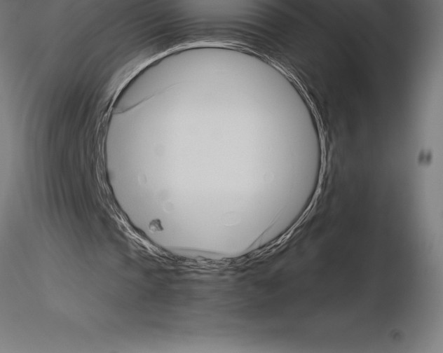 X0000115270337200912111208