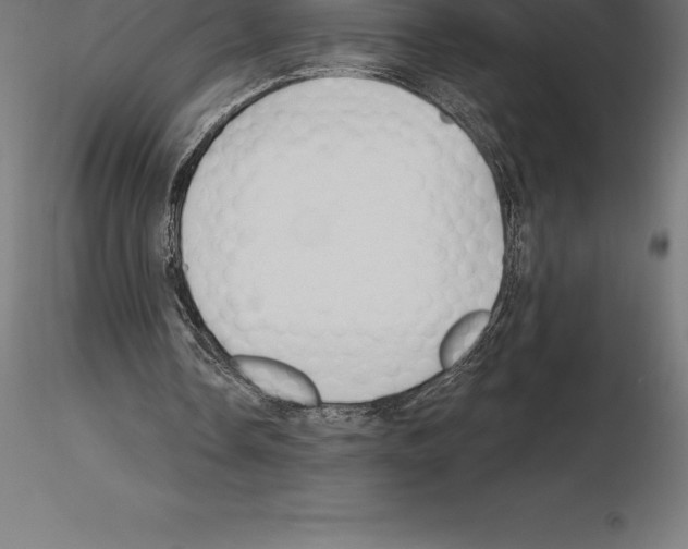 X0000115270338200912111208