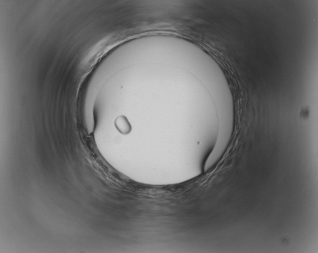 X0000115270339200912111208