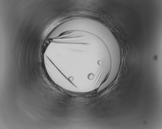 X0000115270341200912111208