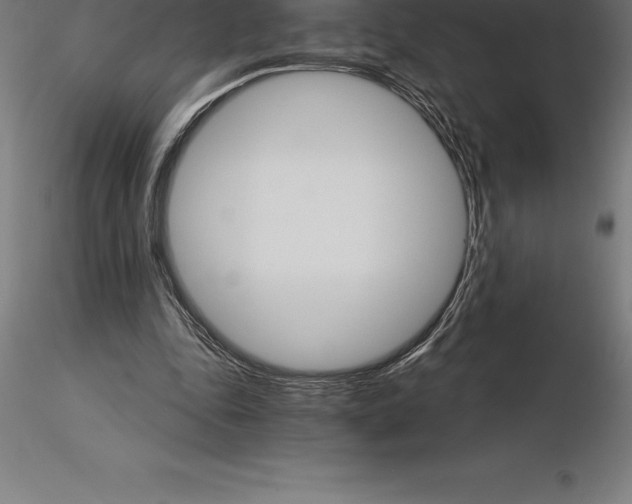 X0000115270343200912111208