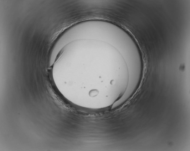 X0000115270345200912111208