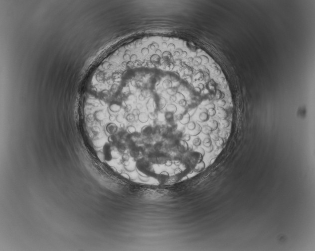 X0000115270346200912111208