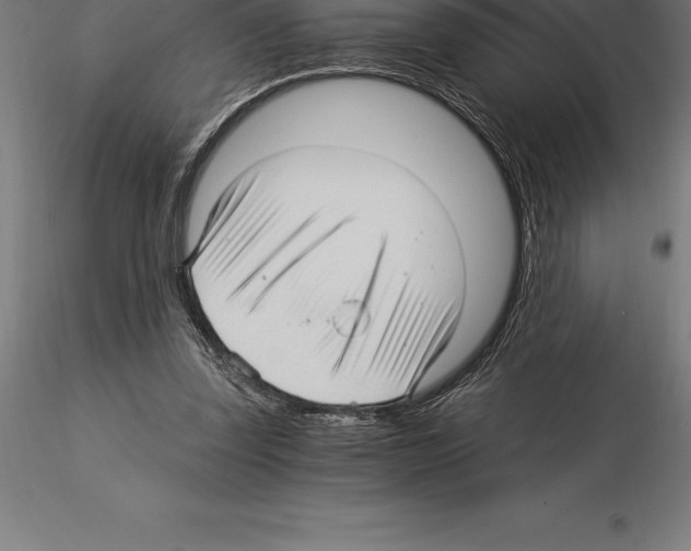 X0000115270347200912111208