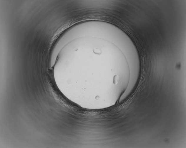 X0000115270349200912111208