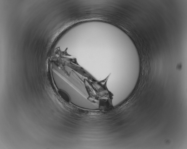 X0000115270350200912111208