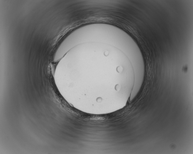 X0000115270357200912111208