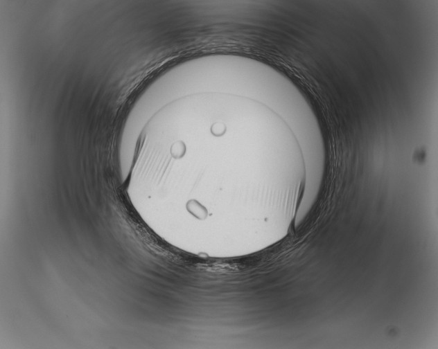 X0000115270359200912111208