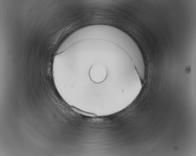 X0000115270361200912111208