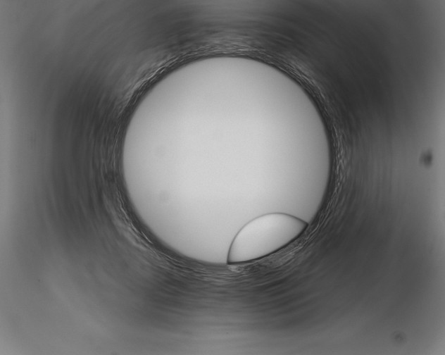 X0000115270362200912111208