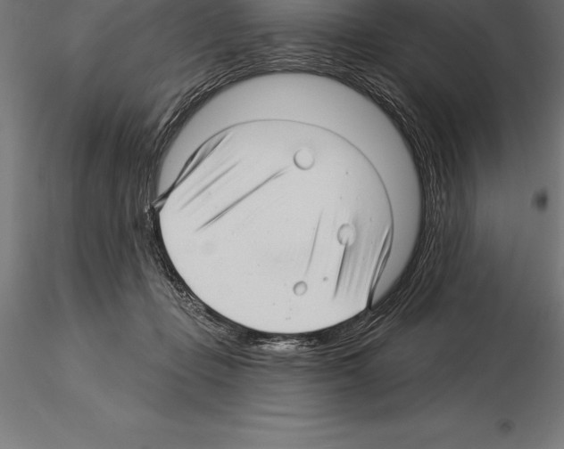 X0000115270365200912111208