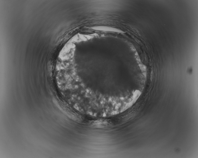 X0000115270366200912111208