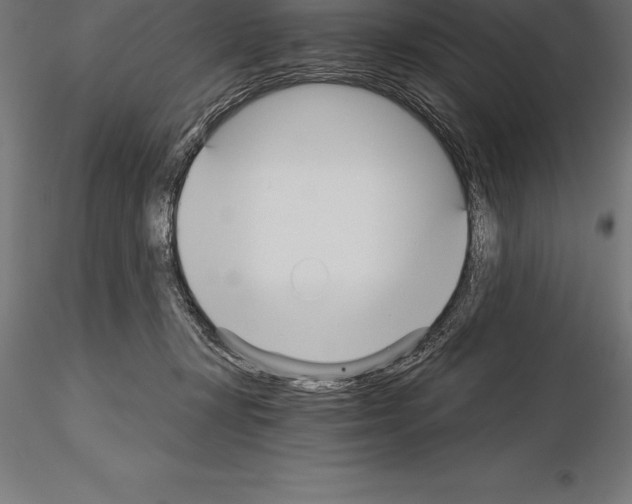 X0000115270367200912111208