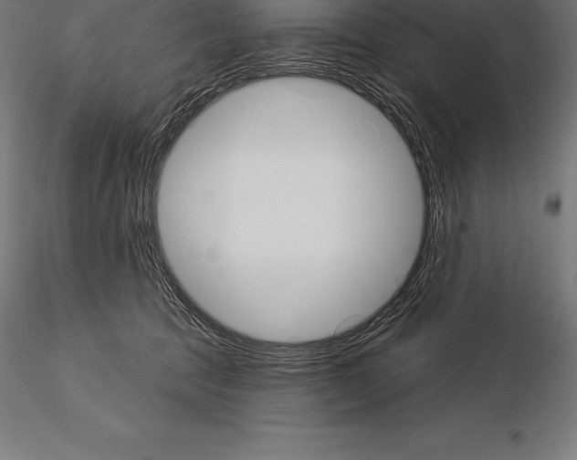 X0000115270369200912111208