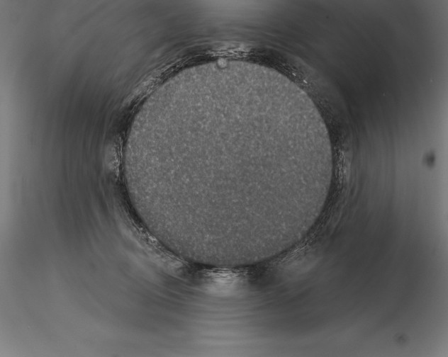 X0000115270370200912111208