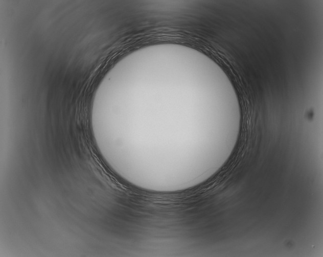 X0000115270373200912111208