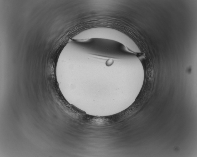 X0000115270375200912111208