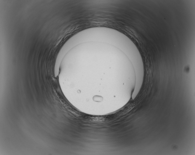 X0000115270377200912111208