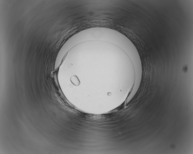 X0000115270383200912111209