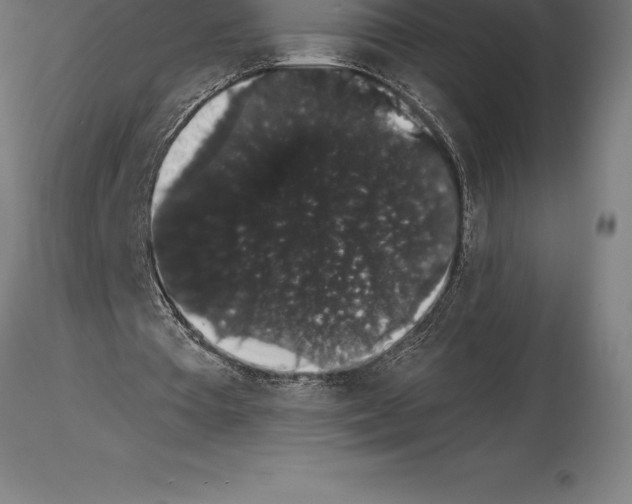 X0000115270385200912111208