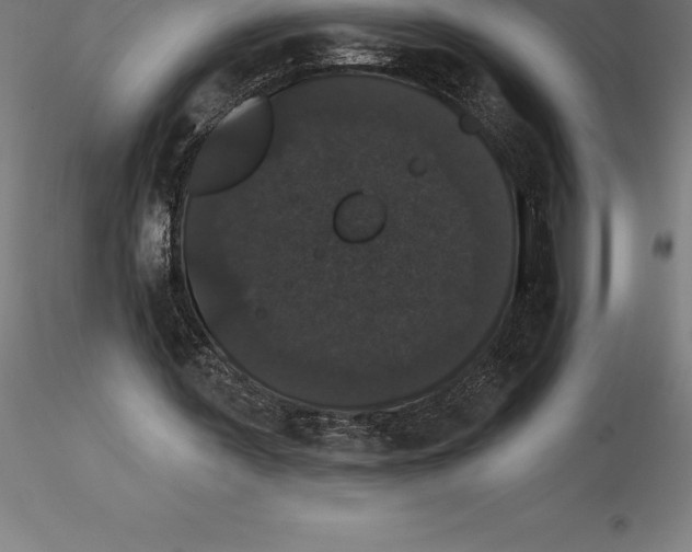 X0000115270387200912111208