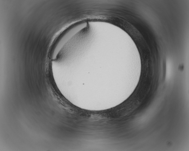 X0000115270388200912111208