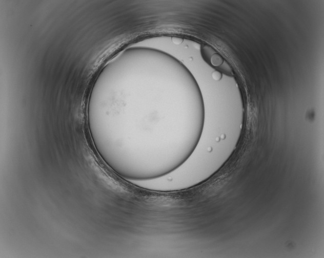 X0000115270389200912111208