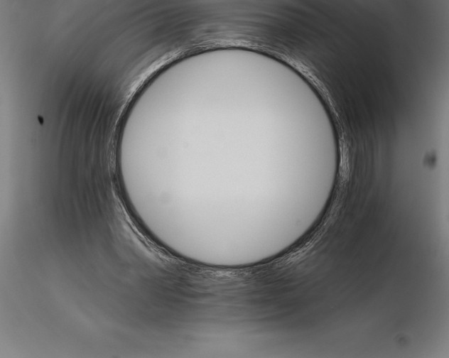 X0000115270390200912111208