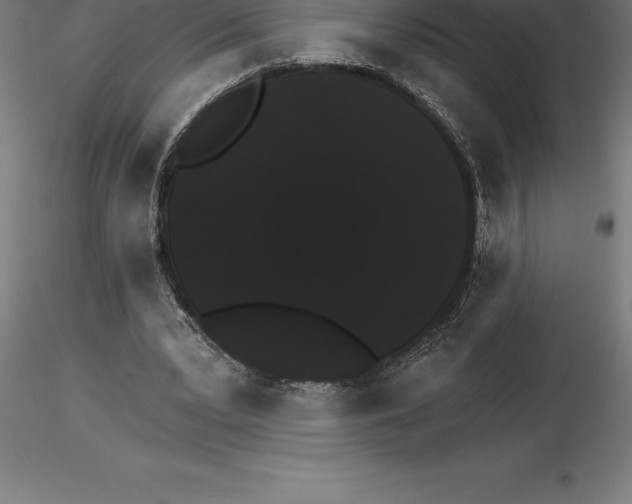 X0000115270391200912111208