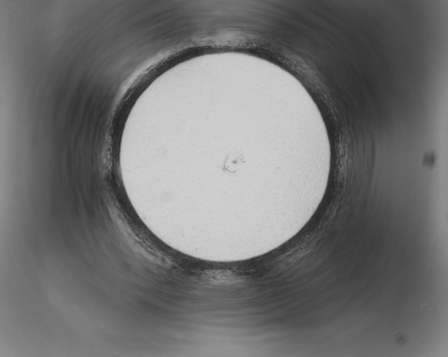 X0000115270392200912111208