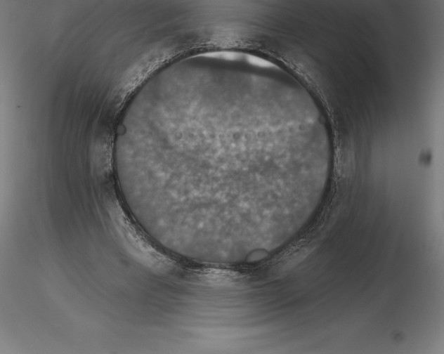 X0000115270393200912111208