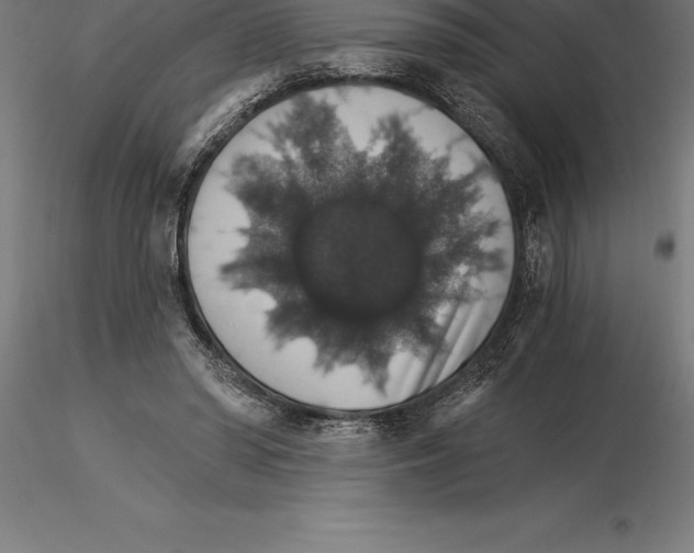 X0000115270398200912111208