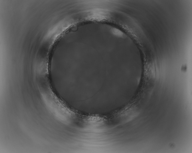 X0000115270399200912111208