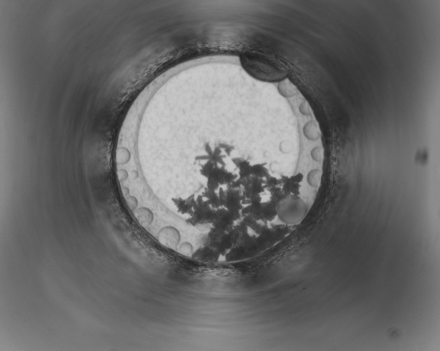 X0000115270401200912111208