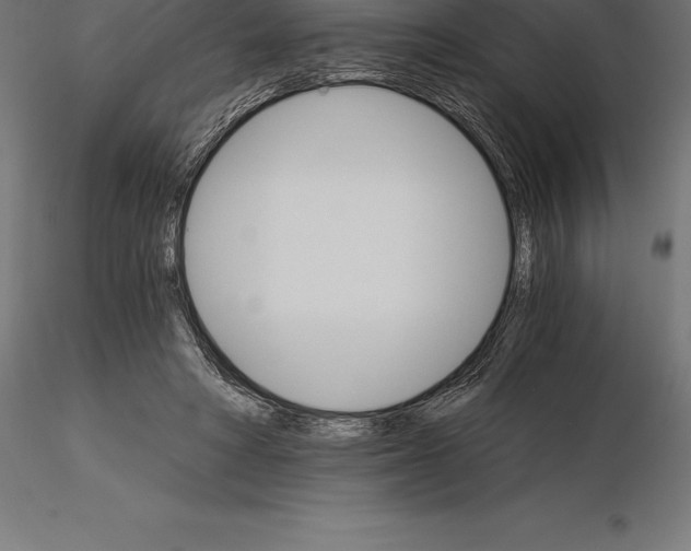 X0000115270402200912111208