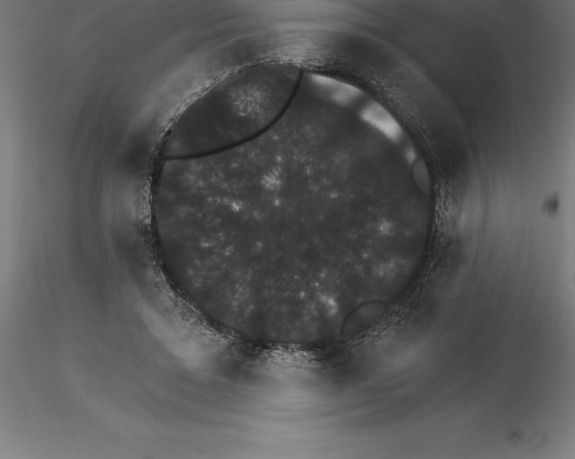 X0000115270403200912111208